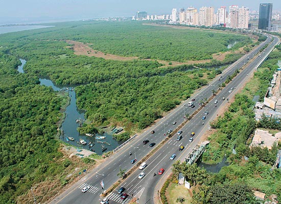 Palm-Beach-Road nerul west